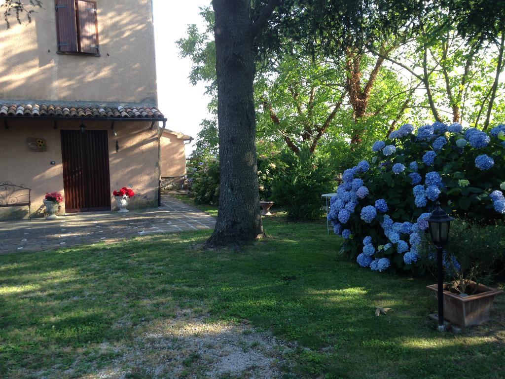Agriturismo Renaccio San Lorenzo Nuovo Екстериор снимка
